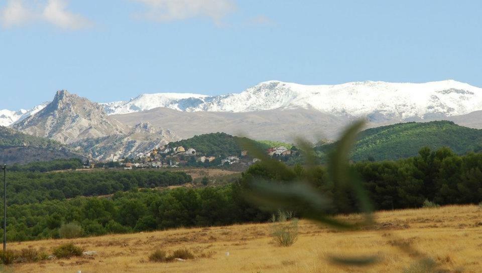 El Rincon De Pepa Appartement La Zubia  Buitenkant foto